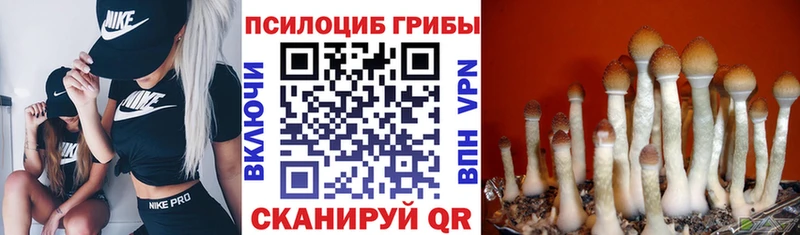 Галлюциногенные грибы мухоморы Анжеро-Судженск